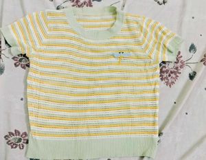 Cropped Striped Knit Top with Stripes