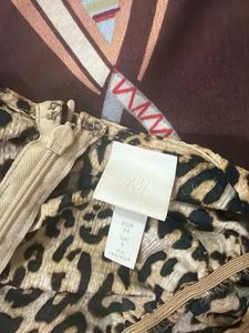 Leopard Print Ruched Mini Dress