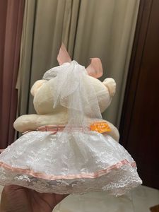 Cute Teddy Bear with Dress