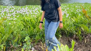 Straight Fit High Waist Blue Jeans
