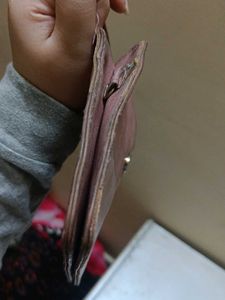 Pink Pouch