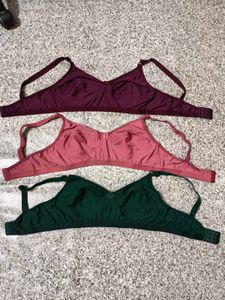 Bra Set - Maroon, Pink, &amp; Green