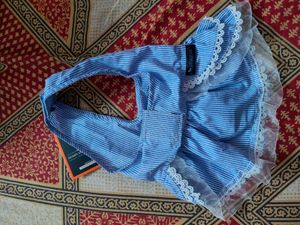 Dog clothing and toy combo