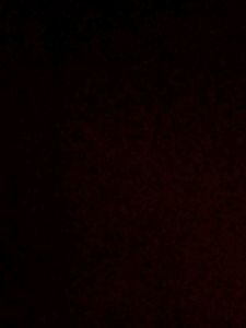 Test B1