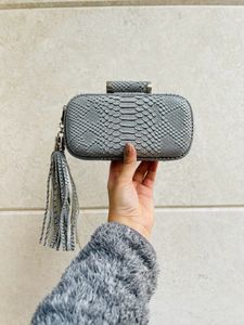 Satyapaul Clutch