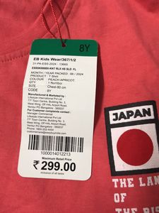 Orange Tokyo T-shirt With Tag