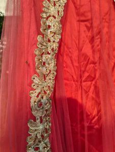 Beautiful Salmon Pink Net Skirt