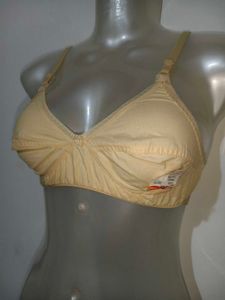 Comfortable Everyday Cotton Bra