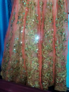 Floor Touch Gown in Peach colour with Mirror