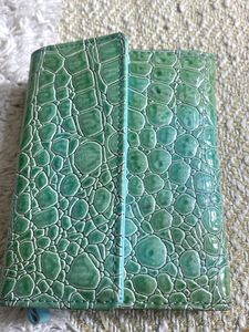 Chic Green Croc Embossed Wallet