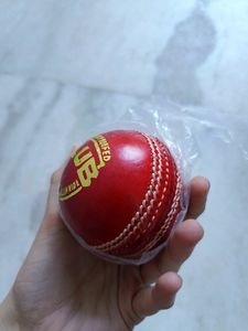 Leather Ball
