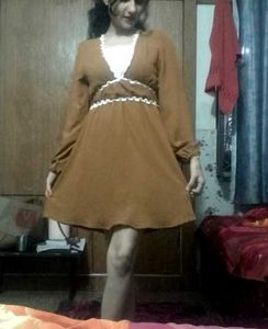 brown minni waist fitted dress