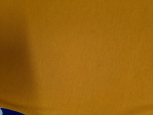 Mustard Bodycon