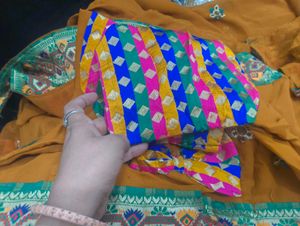 Embroidered Mustard Saree