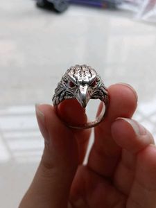 Unique Dragon &amp; Bird Rings