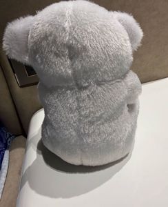 Teddy Bear with "I Love You" Heart