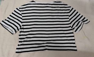 Striped Cropped Tee