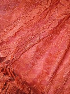 Stunning Orange Lace Gown