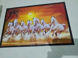 Stunning White Horse Wall Art