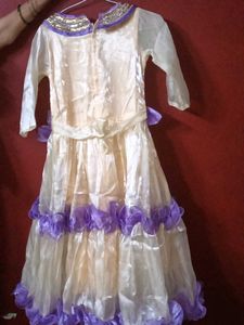 Beautiful Ethnic Gown(New and unused)