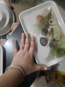 Set of 2 Decorative Trays