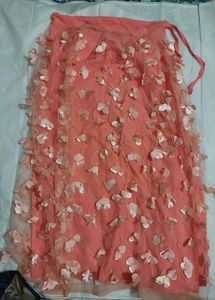 Peach Tulle Skirt with 🦋 Appliques