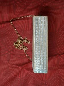 Elegant Chain Clutch Bag