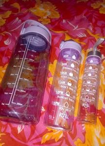 Vibrant Motivational Water Bottles