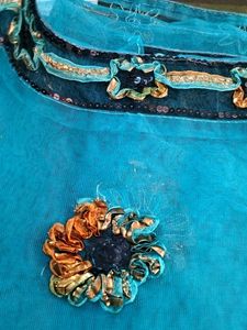 SALE😻💙only Saree (no blouse)