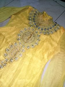 Anarkali Beautiful Net Suit
