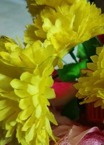 Fruit Basket And Flower Combo