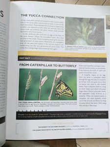 National Geographic Answer Book