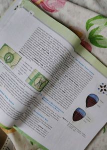 Biology Textbook for Class XI