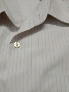 Shirt For Men's