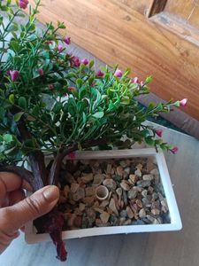 Artificial Plant with Pink Flowers