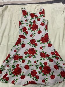H&M Skater Dress