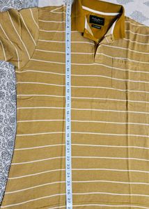 COLORPLUS Men Striped Tailored Fit Polo T-shirt
