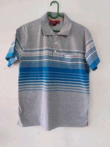 Striped Polo Shirt