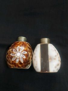 Salt And Pepper Seashell Shakers