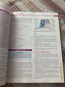 BD Chaurasia's Human Anatomy for Dental Students