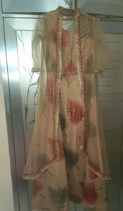 Light Brown Women Party Wear Gown/Dress