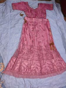 Pink Embroidered Lehenga Skirt