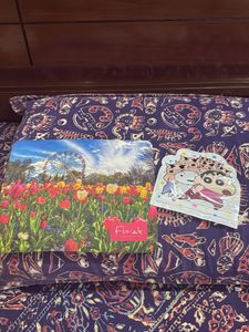 Cute Shinchan Ziplock pouch  & Flower mousepad.