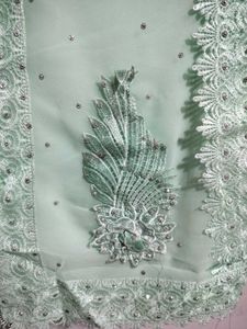 Stunning Pastel Green Embellished Saree