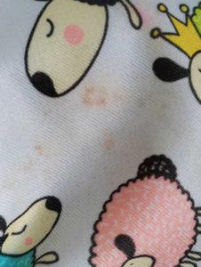 Cloth Diaper With One Insert