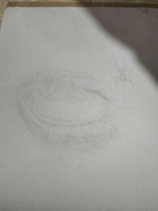 Surreal Eye and Spider Sketch