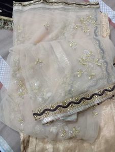 Eleganct lahanga choli