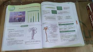 Objective NCERT Punch Biology Book for NEET 2025