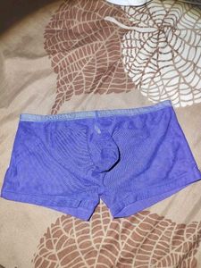 Sexy Men's Mesh Brief