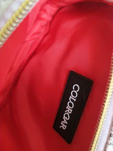 Colorbar Floral Siling Bag